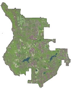 Map of city of Sammamish canopy cover.