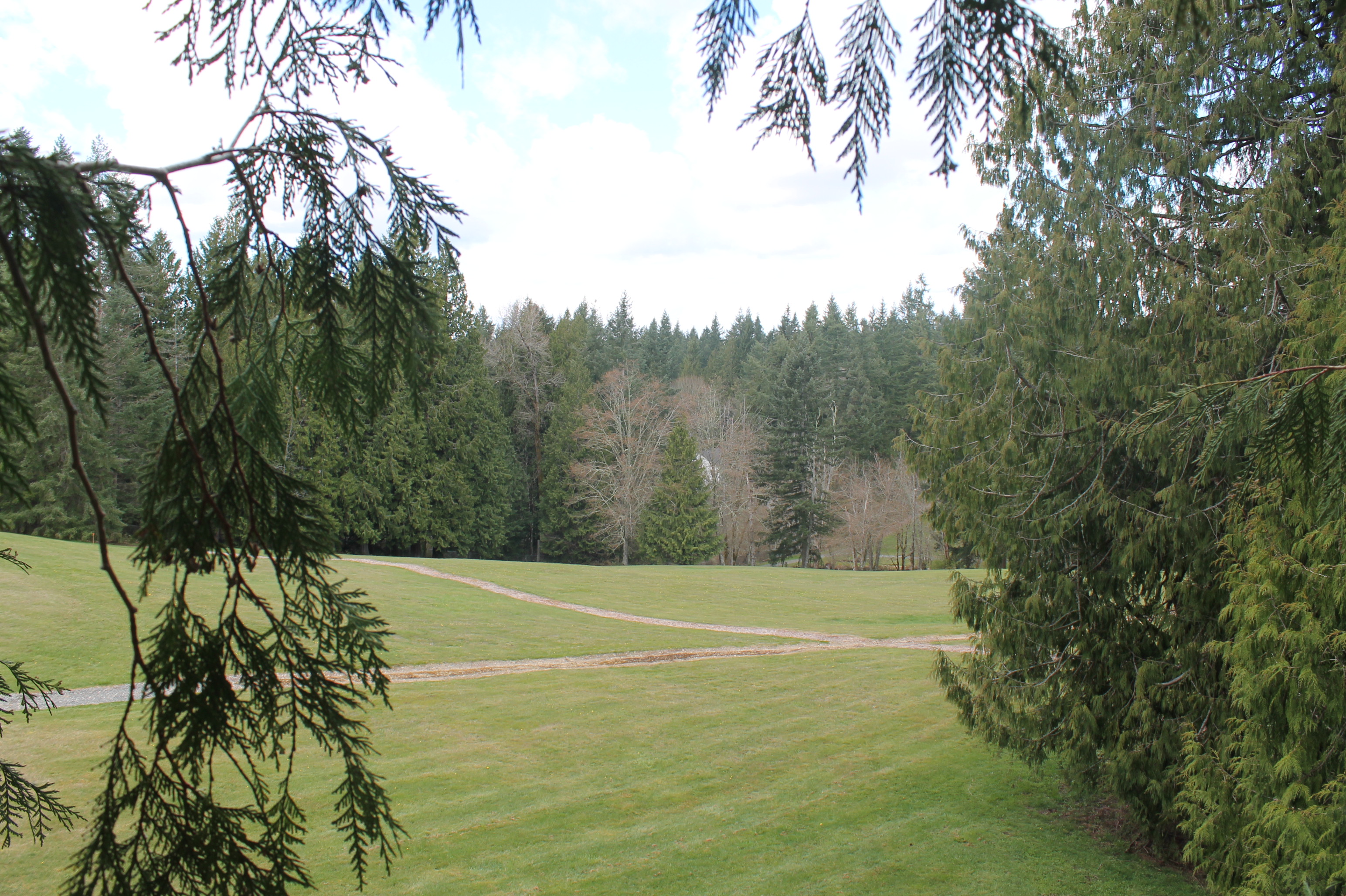 landscape photo of Sammamish Park