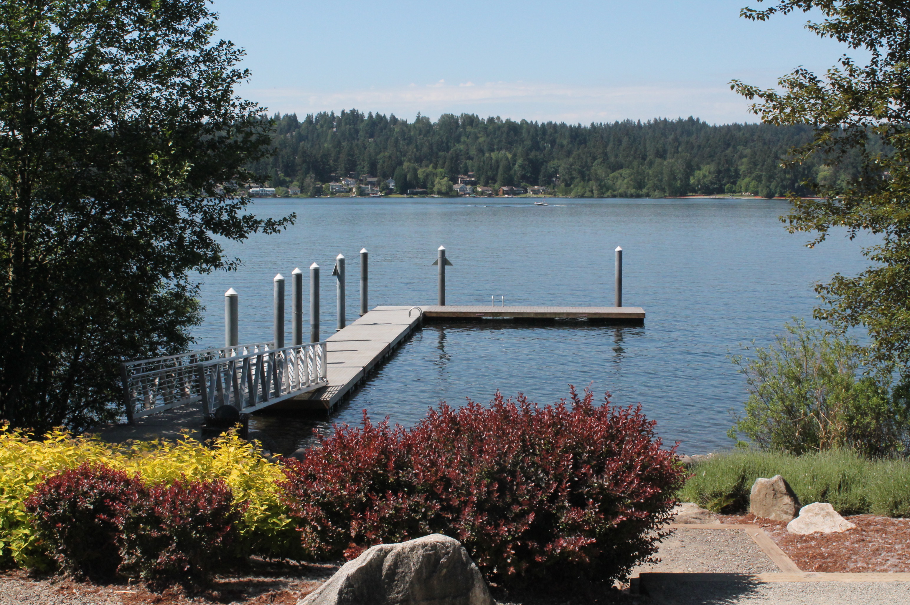 Lake with dock, vegetation and path in the foreground and trees and dwellings in the background on other side of the lake.