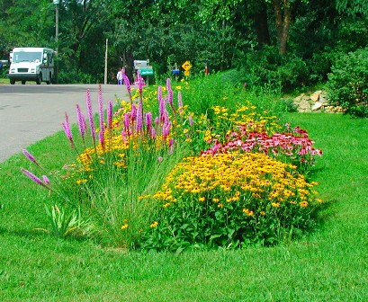 Vibrant yellow and pink flowers adorn the lawn of a Sammamish residence.