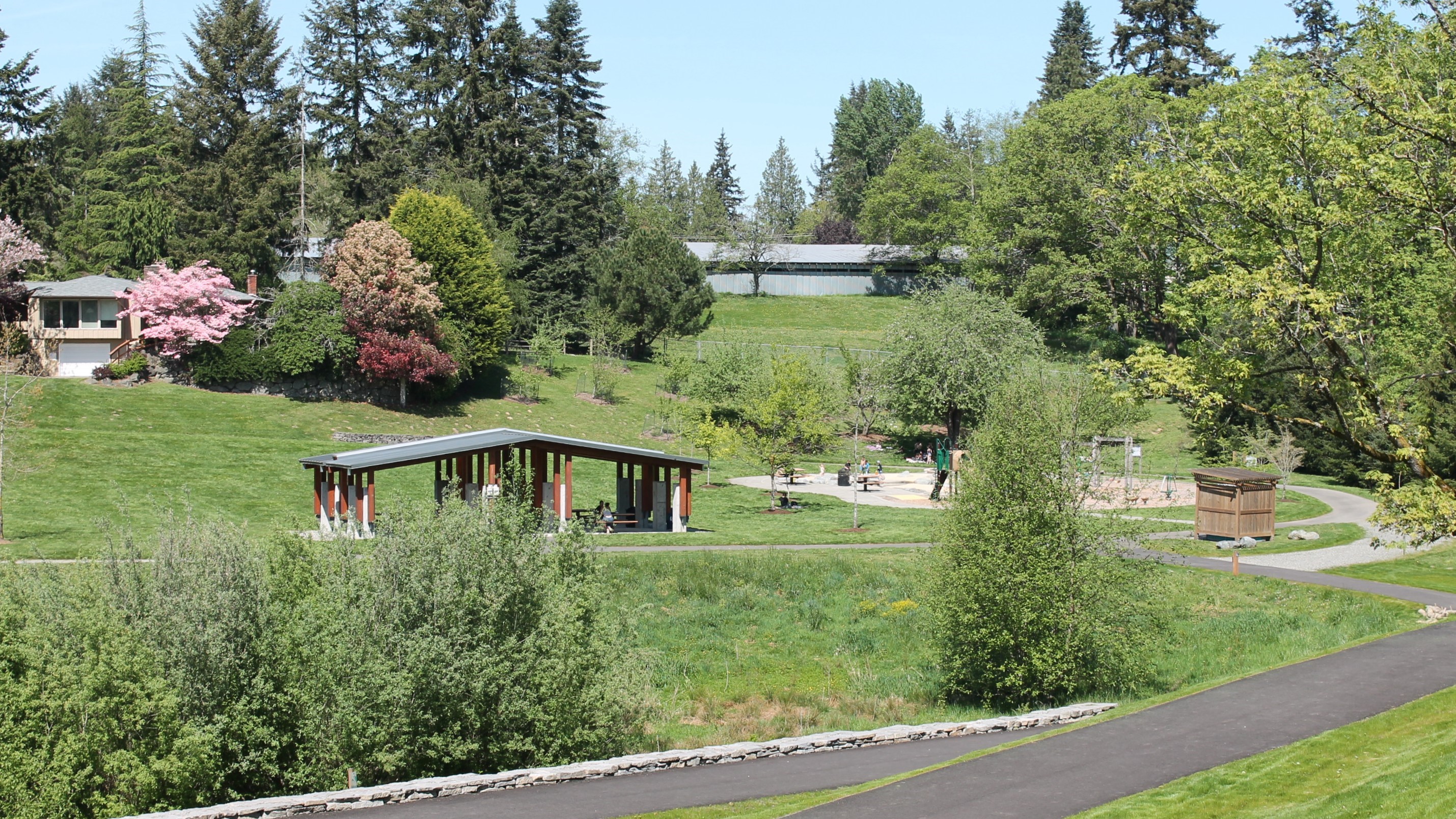 sammamish commons 