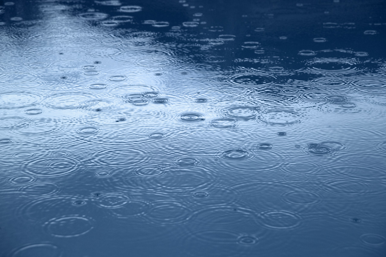 Raindrops plopping into standing water.